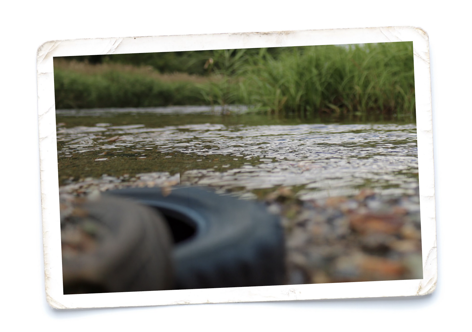 Tire in stream